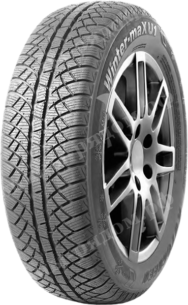 Легковые шины AutoGreen Winter-Max U1-WL2 185/70R14