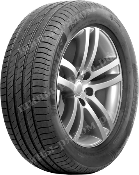 Легковые шины Delinte DS2 225/65R17