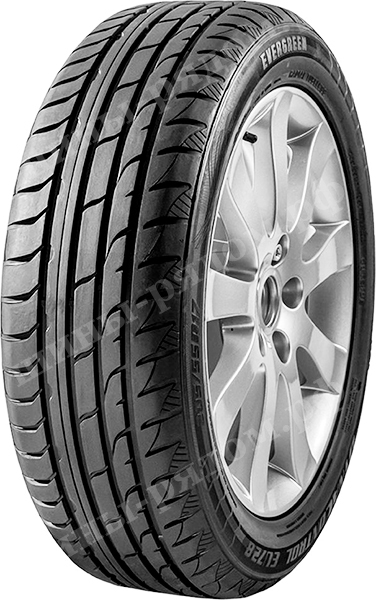 Легковые шины EverGreen DynaControl EU728 205/50R17