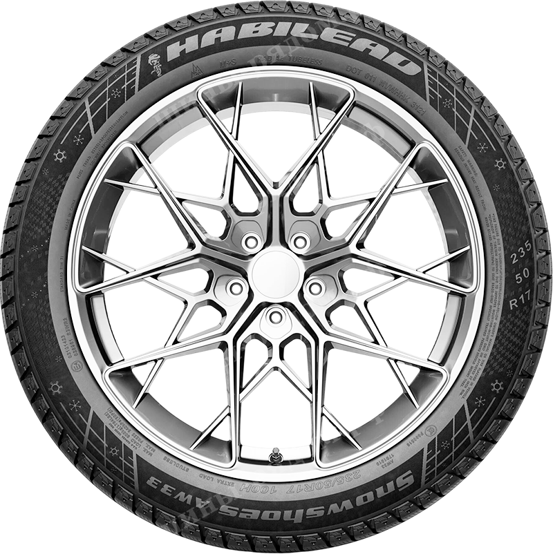 SnowShoes AW33