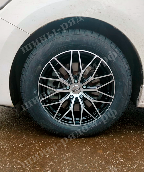 Neo 840 + Ikon Tyres Nordman RS2 + Kia Carnival 