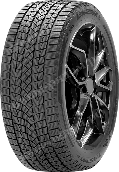 Легковые шины LandSpider WinterTraxx SUV 235/55R19