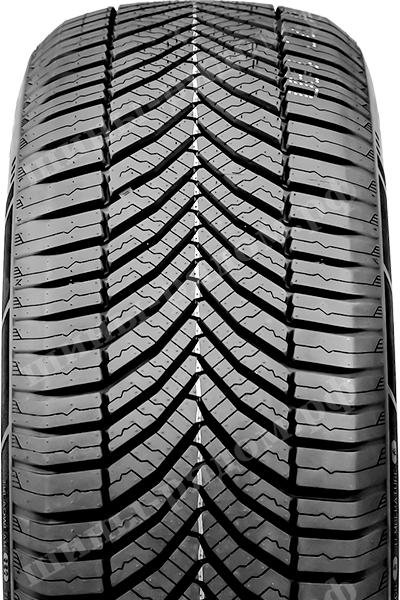 Catchfors A/S II