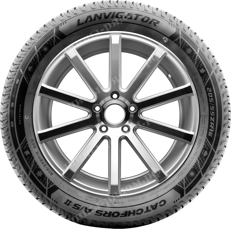 Catchfors A/S II