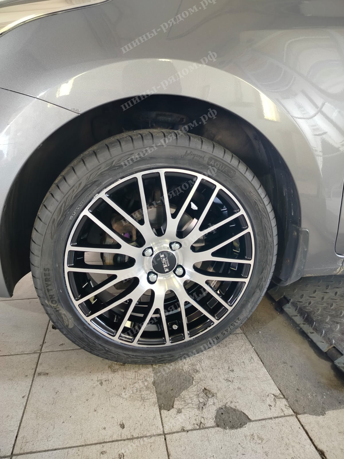 Proma GT + Autograph Aqua 3 + KIA RIO. 