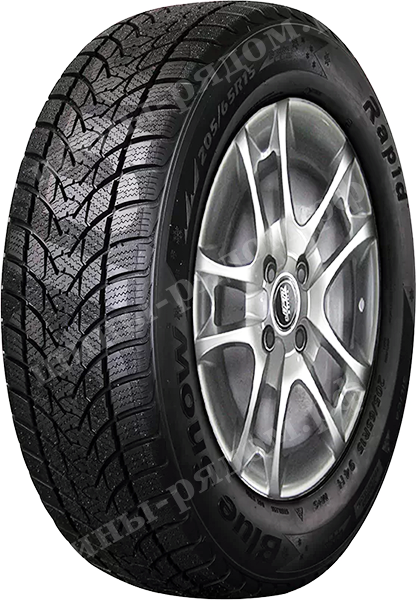 Легковые шины Rapid Bluesnow 225/55R16