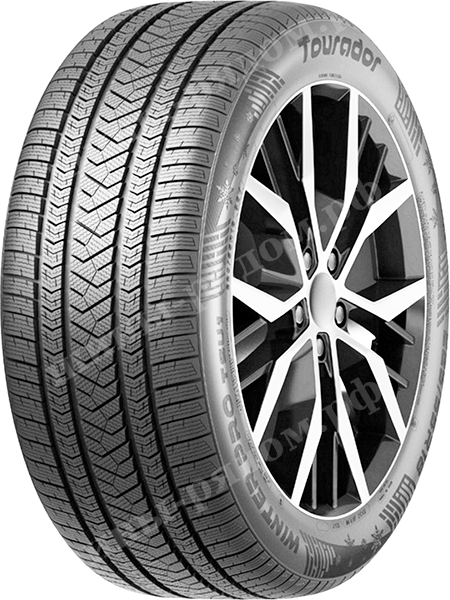 Легковые шины Tourador Winter Pro TSU1 255/50R19