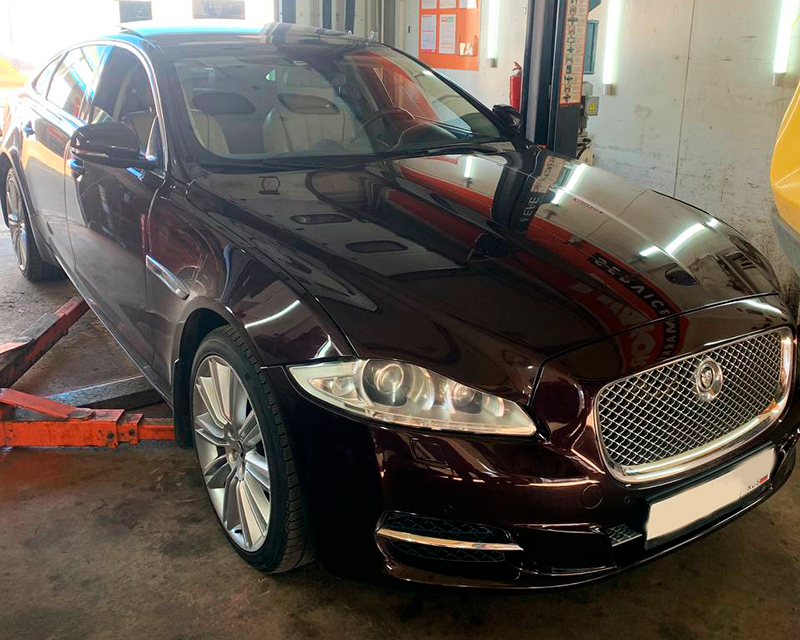 Jaguar