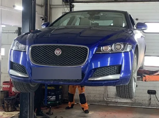 Jaguar