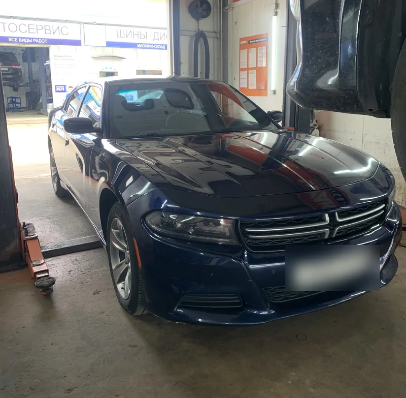 Dodge