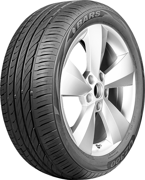 BARS-UZ300-006-cut